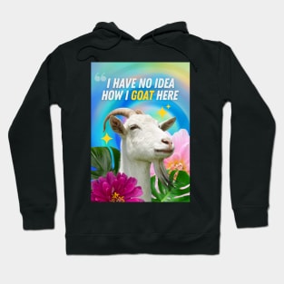 No Idea  How I GOAT Here Hoodie